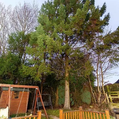 Ferienhaus West Park House *